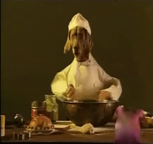 cooking-dog