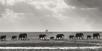 National Geographic’te Birinci Olmak İçin Yarışan Birbirinden Muazzam 24 Doğa Fotoğrafı