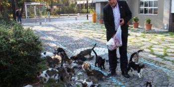 35 Yıldır Her Sabah, Bölüklere Ayırdığı 100 Kediyi Ayrı Ayrı Besleyen İyi Kalpli İsmet Amca