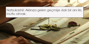 Anlatmak İçin Uzun Cümlelere İhtiyaç Duyduğumuz Hislere Karşılık Gelen 13 Farklı Dilde Kelime