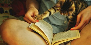 Bir Oturuşta Kitap Bitirmeye Bayılanlara Özel 11 Çerezlik Kitap