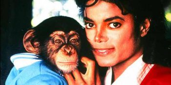 Michael Jackson Tarafından Yıllarca Sömürüye Maruz Kalan Şempanze Bubbles’ın Üzen Hikayesi