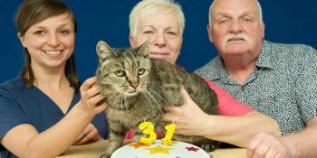 31 Yaşındaki Dünyanın En Yaşlı Kedisi Nutmeg’in Maşallah Demelere Doyamadığımız Hikayesi