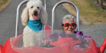 Kanser Tedavisini Reddedip Dünya Turuna Çıkan Dünyanın En Tatlı ve Belki de En Yaşlı Gezgini