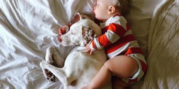 Bir Köpek ve Bebeğin Dostluğundan Yüreğinizi Isıtacak 14 Tatlış Fotoğraf