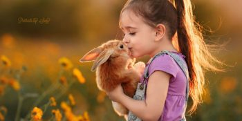 Hayvanları Koruma Günü Münasebetiyle Resimli “Hayvanları Nasıl Korumalıyız?” Kılavuzu