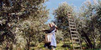 Hepimizin Ezbere Bildiği Zeytinyağlı Yiyemem Aman Türküsünün Çok İlginç Hikayesi