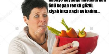 Aklı Başında Bir İnsanın Bulmasının İmkansız Olduğu Birbirinden Yaratıcı 30 Stok Foto