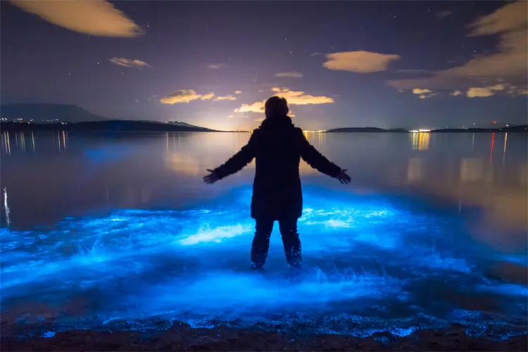 Bioluminescent red tide