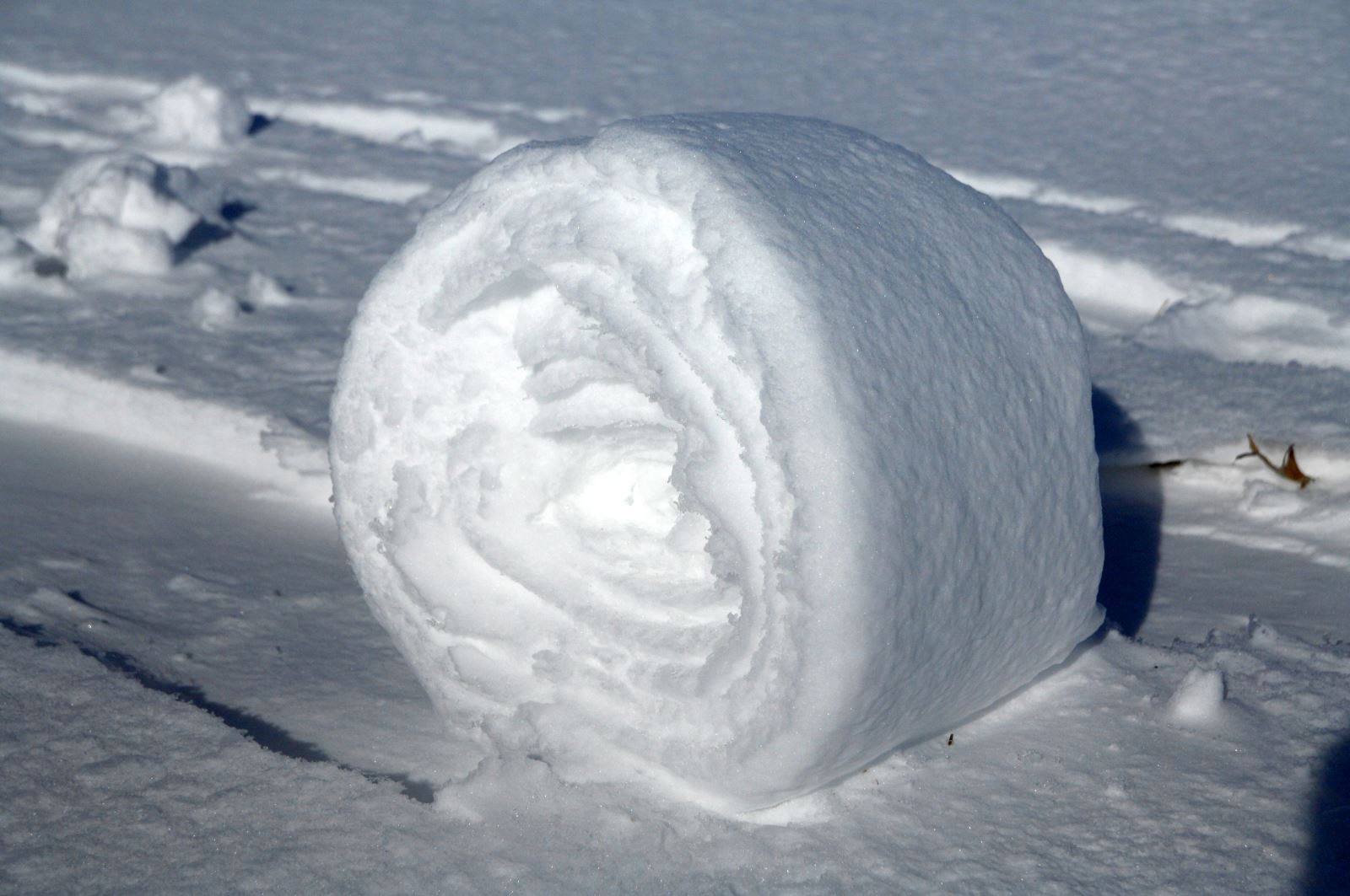 Snow rollers