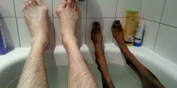 Köpeklere Bir Kez Daha Vurulmanızı Sağlayacak 14 Patili Fotoğraf