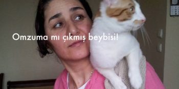 Kedisi Mecnun ile Birlikte Sevgi Dolu Bir Hayat Yaşayan Filiz Hanım’ın İç Isıtan Öyküsü