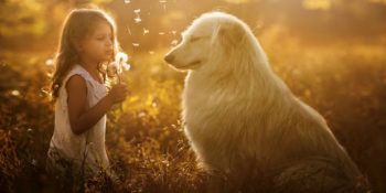 Çocuklarla Hayvanlar Arasındaki Eşsiz Bağı Gösteren Masumiyetin Aynası 20 Fotoğraf