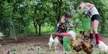 Hiç Para Harcamadan Dünyayı Gezebilmeniz İçin 5 Gönüllü Çalışma Alanı