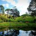 Orta Dünya’nın Büyülü Atmosferini Gezip Görebileceğiniz Orijinal Hobbit Köyü: Hobbiton