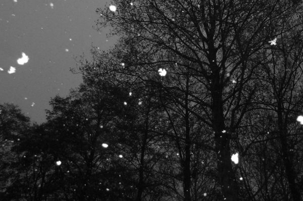 on_a_cold_dark_winter_night_by_blackangelinlove-d37yhp7