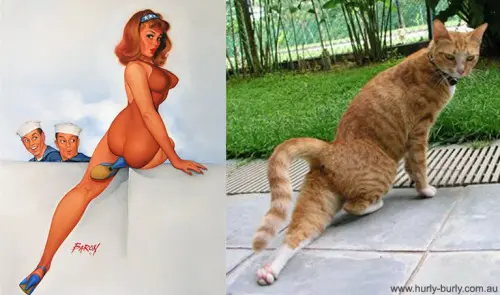 01 pinup kız kedi