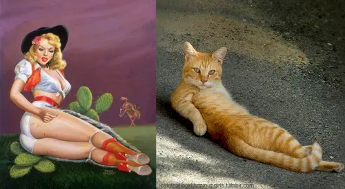 02 pinup kız kedi