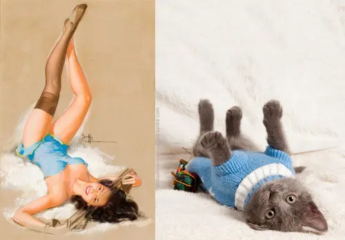03 pinup kız kedi