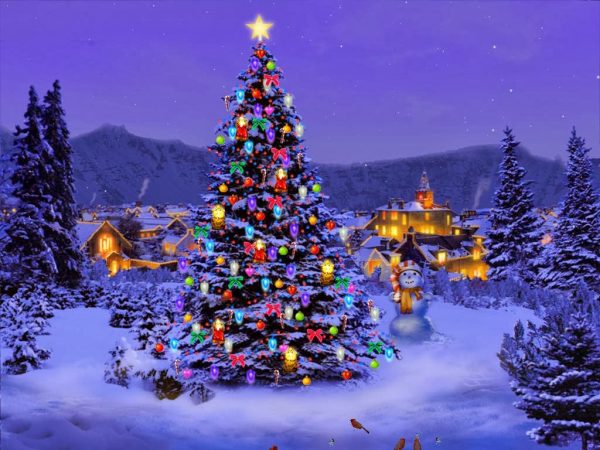 11. Çam Ağacından Noel Ağacına