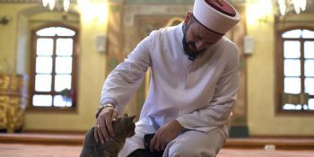 İyi Şeyler de Olmuştu: 2016’da İçimizi Isıtıp Kalbimize Dokunmayı Başarmış 14 Hikaye