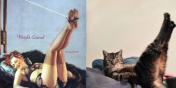 Pin Up Kızlarıyla Kedilerin Benzer Pozlarını Bir Araya Getiren Çalışmadan 25 Minnoş Örnek