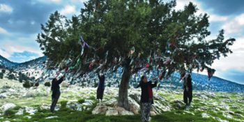 Türklerdeki Çam Süsleme Geleneği “Nardugan” Hakkında Pek Bilinmeyen 9 Bilgi