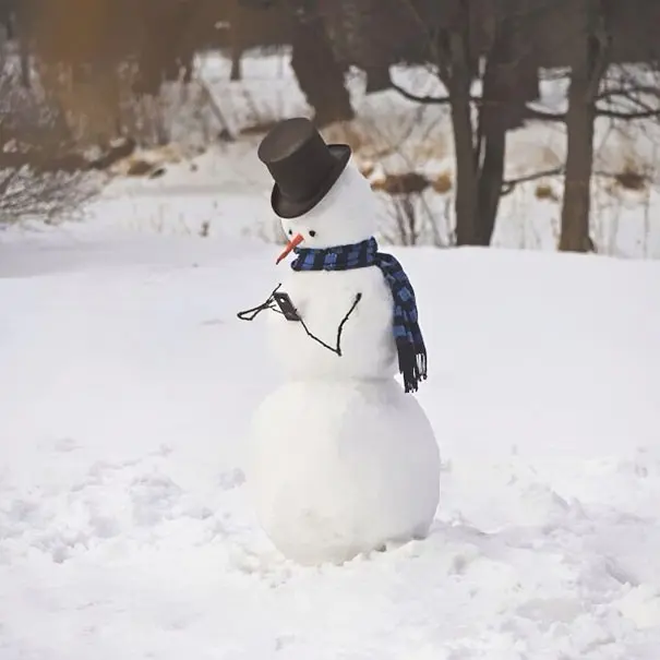creative-snowman-ideas-46-5853eae865d1e__605