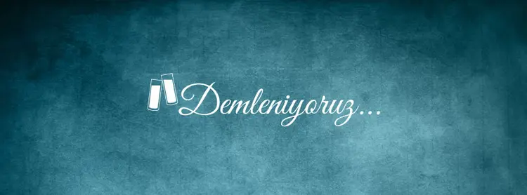 demleniyoruz
