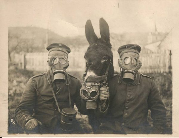 german-wwi-soldiers-and-their-mule-wearing-gas-masks-photo-u1