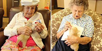 Hem Yaşlı Hastaları Hem de Yavru Kedileri Hayata Bağlayan Tatlı Dayanışma Projesi