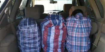 Tesadüf Eseri Kamuflaj Seviyesini Arşa Çıkarmış 18 İnsan