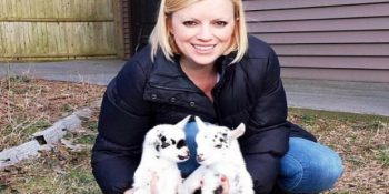 Bebek Keçilere Bakmak İçin Şehir Hayatını Terk Eden Leanne’nin Tatlı Hikayesi