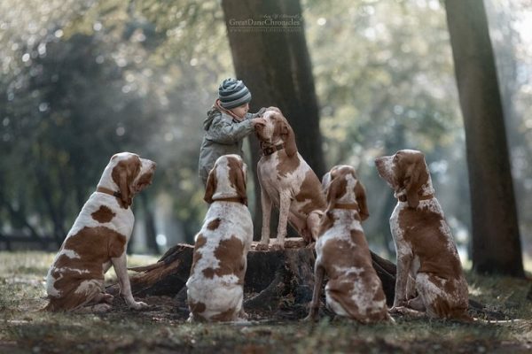 little-kids-big-dogs-photography-andy-seliverstoff-10-584fa911a2812__880