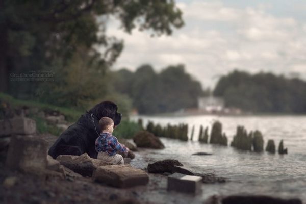 little-kids-big-dogs-photography-andy-seliverstoff-17-584fa91d88e5d__880