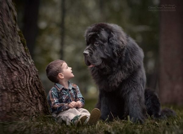 little-kids-big-dogs-photography-andy-seliverstoff-18-584fa91fa298c__880