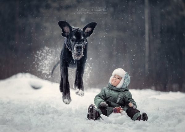 little-kids-big-dogs-photography-andy-seliverstoff-2-584fa9021c86b__880
