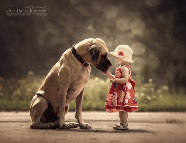 little-kids-big-dogs-photography-andy-seliverstoff-26-584fa930ad1a9__880