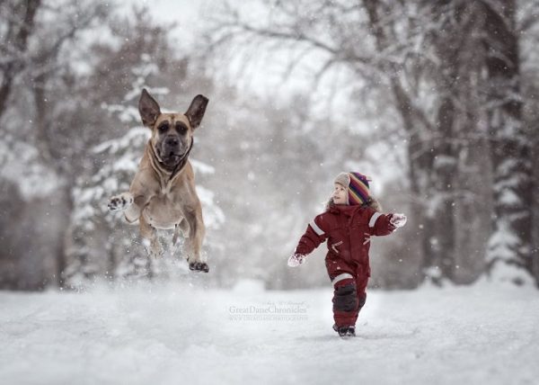 little-kids-big-dogs-photography-andy-seliverstoff-30-584fa93aa5f73__880
