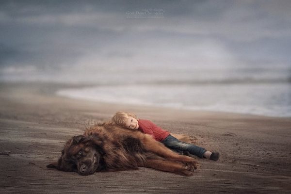 little-kids-big-dogs-photography-andy-seliverstoff-34-584fa94499c1f__880