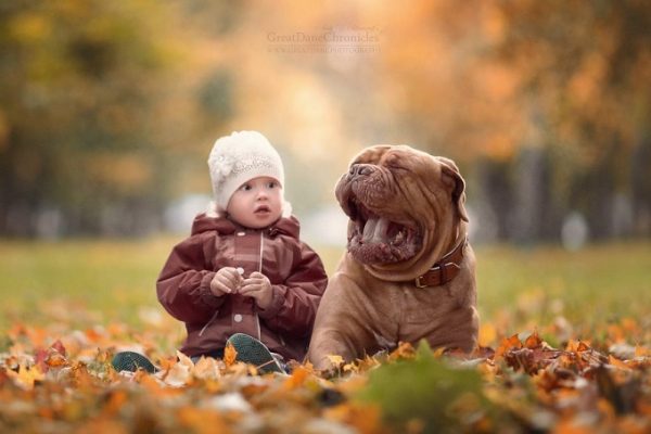 little-kids-big-dogs-photography-andy-seliverstoff-53-584fa977bce19__880