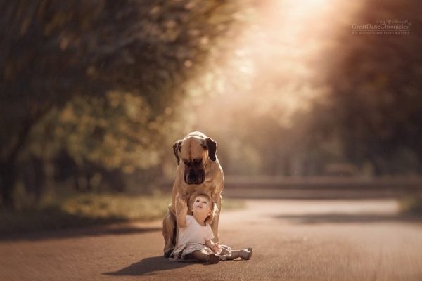 little-kids-big-dogs-photography-andy-seliverstoff-8-584fa90d9599d__880