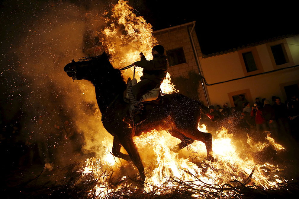 religious celebration on the eve of Saint Anthony’s day, Spain’s patron saint of animals, in the village of San Bartolome de Pinares, northwest of Madrid, Spain, January 16, 2016.
