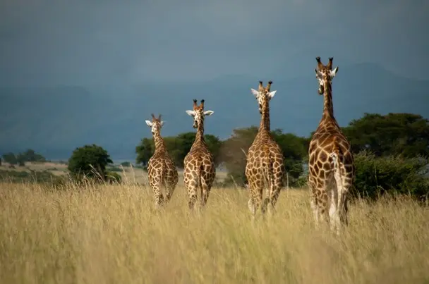travel.nationalgeographic