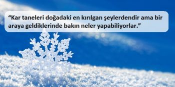 Hollandalı Çocukların Dünyanın Geri Kalanından Daha Mutlu Olmasının Düşündürücü Nedenleri