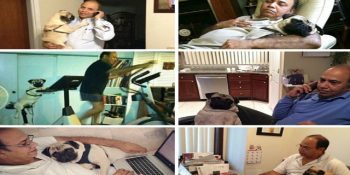 Köpeklerin, Sert Babaların İçindeki Tontişi Ortaya Çıkarttığının Kanıtı 15 Fotoğraf