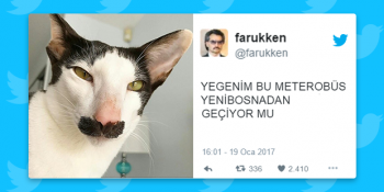 Hiç Vakit Kaybetmeden Görmeniz Gereken Haftanın En Güzel 28 Tweeti