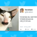 Hiç Vakit Kaybetmeden Görmeniz Gereken Haftanın En Güzel 28 Tweeti