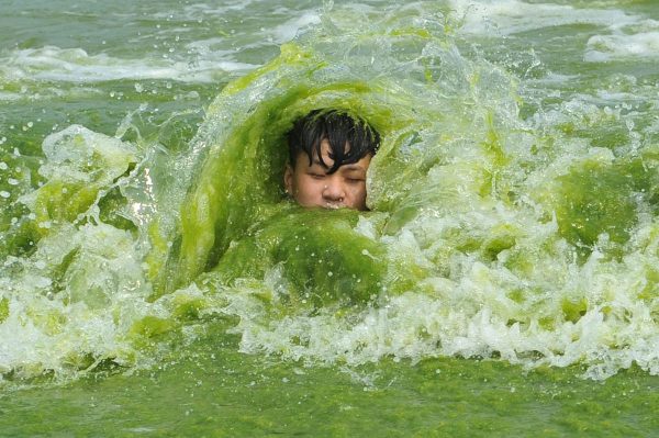 a-boy-plays-on-an-algae-covered-beach-in-qingdao-shandong-province-china