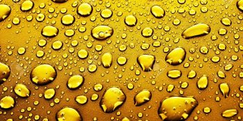 “Hadi Ya!” Diyeceğimiz Birbirinden Şaşırtıcı 50 İlginç Bilimsel Gerçek